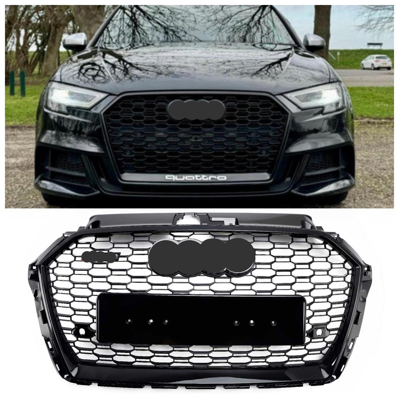 https://cdn.shopify.com/s/files/1/0712/0348/8028/files/6_fd2661eb-60b5-4e0c-957e-e068bad83fde.jpg?v=1773477701