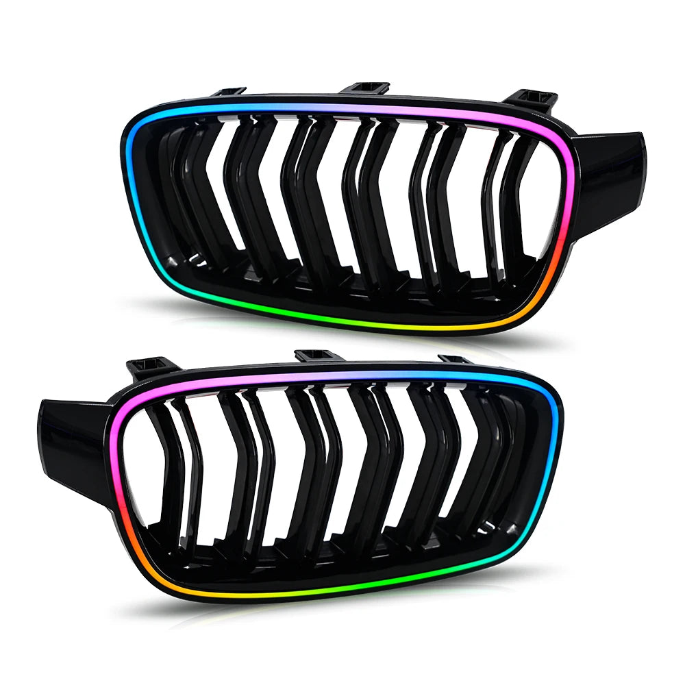 Grille de Calandre BMW Série 3 F30 2013-2018 RGB