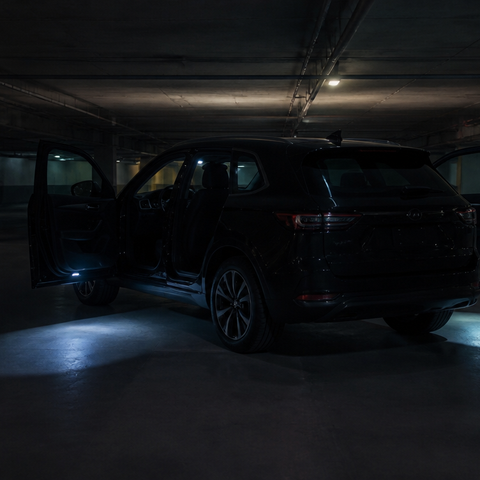 Projecteur Logo Porte Voiture - accessoires auto tuning