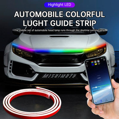 https://cdn.shopify.com/s/files/1/0712/0348/8028/files/2717cf728278e8706309c3a1190986aa.jpg?v=1758607678