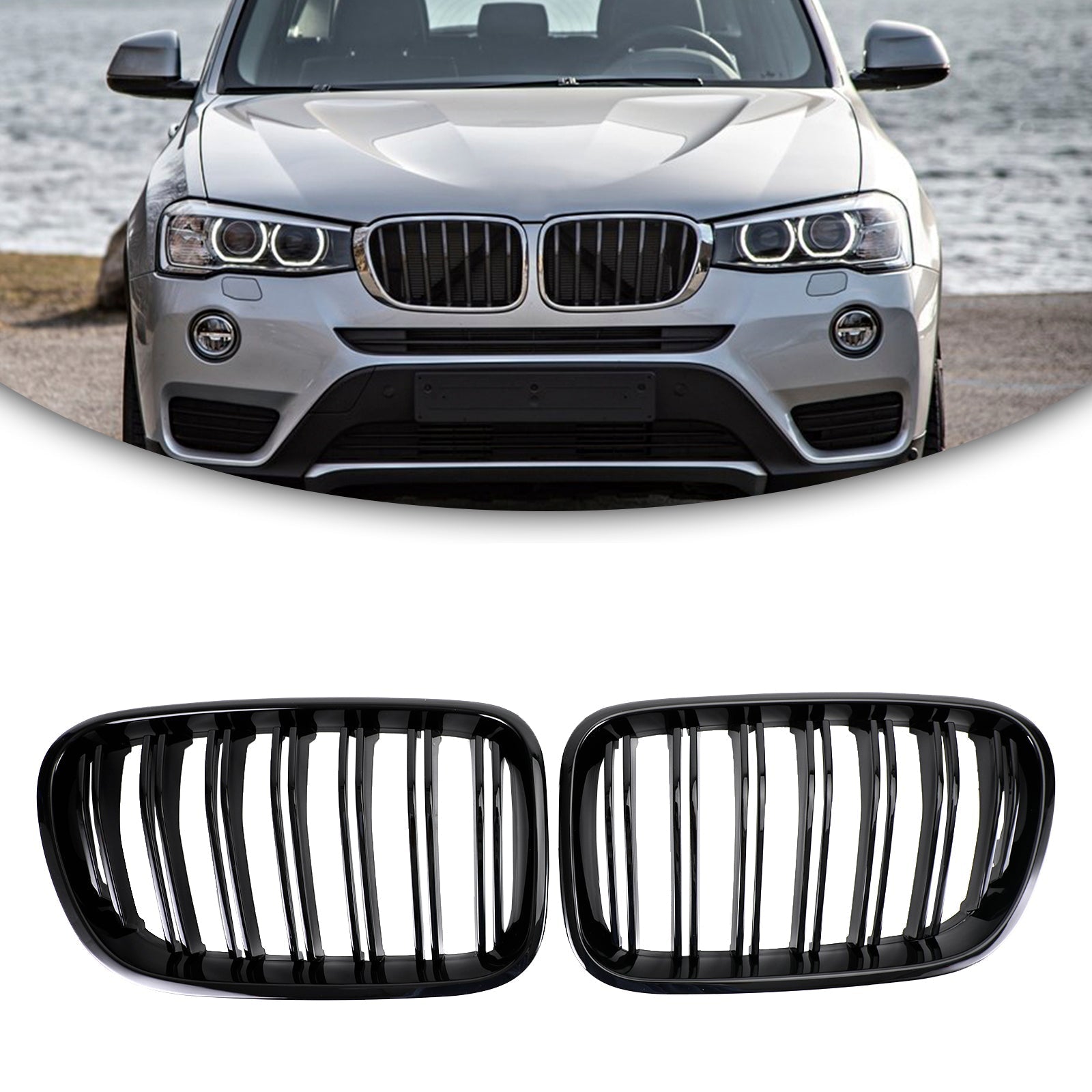 https://cdn.shopify.com/s/files/1/0712/0348/8028/products/5b67d777c7650882d07df243e16f3794.jpg?v=1753085315