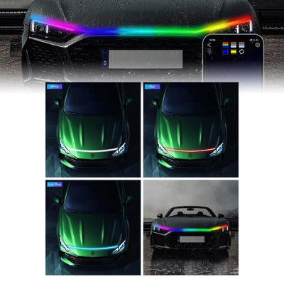 https://cdn.shopify.com/s/files/1/0712/0348/8028/files/5e69ed1fee11352f868da7c6eb50046c.jpg?v=1758607678
