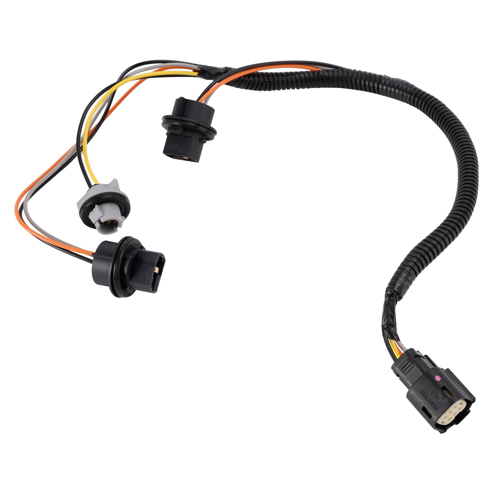 https://cdn.shopify.com/s/files/1/0712/0348/8028/files/9f2b44fdcead744d03d52ba72c643b81.jpg?v=1765340018