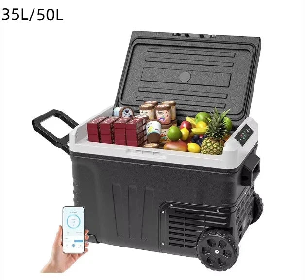 Glacière Électrique Voiture 18 à 50 L Compresseur 12V 24V 230V Application -20 °C