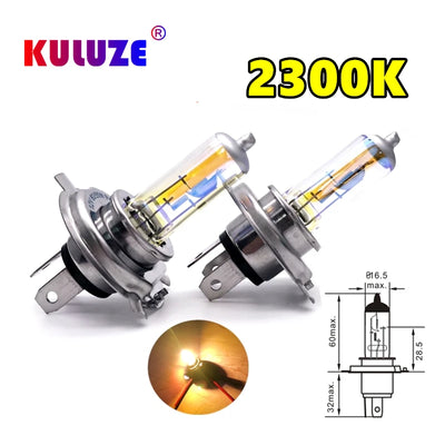 Ampoules Halogènes H1 H3 H4 H7 H8 H11 (Kit 2 Pièces)