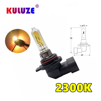 Ampoules Halogènes H1 H3 H4 H7 H8 H11 (Kit 2 Pièces)