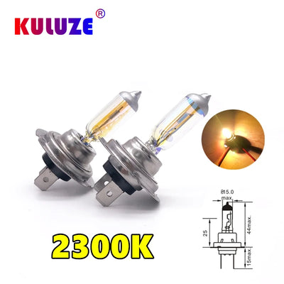 Ampoules Halogènes H1 H3 H4 H7 H8 H11 (Kit 2 Pièces)
