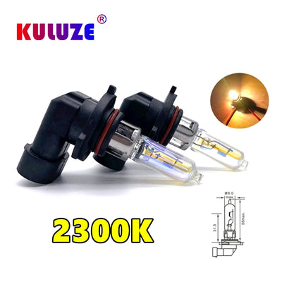 Ampoules Halogènes H1 H3 H4 H7 H8 H11 (Kit 2 Pièces)