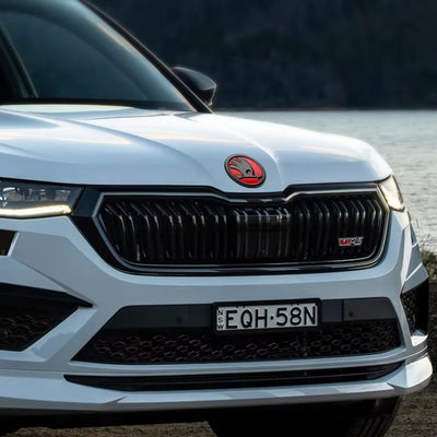 https://cdn.shopify.com/s/files/1/0727/0635/9572/files/LOGO_SKODA.jpg?v=1743886284