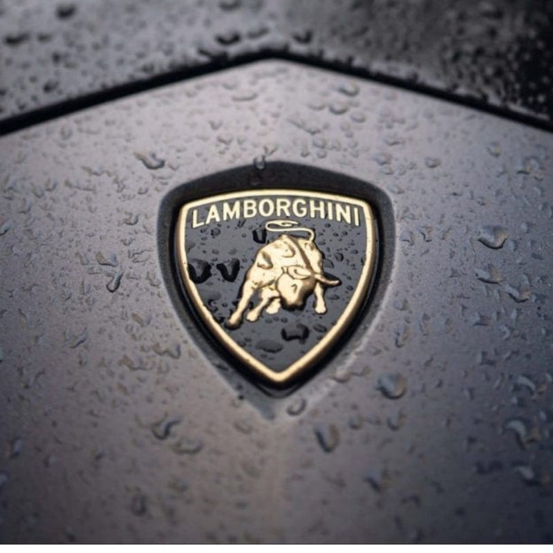 https://cdn.shopify.com/s/files/1/0727/0635/9572/files/LamborghiniLogoSilver.jpg?v=1716052715