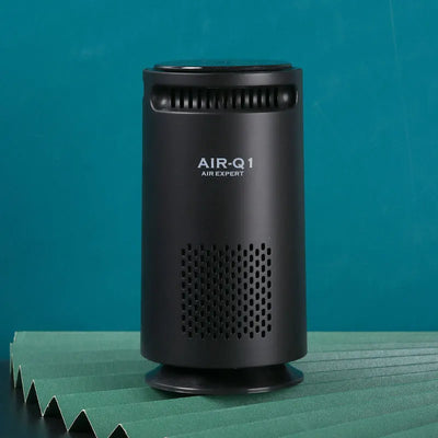 Purificateur d'Air Voiture Filtre HEPA Ions Négatifs
