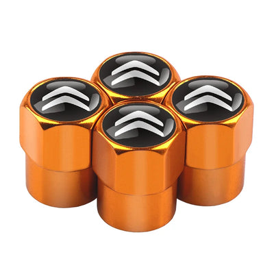 Bouchons de Valve Citroën C3 C4 C5 Aircross Métal