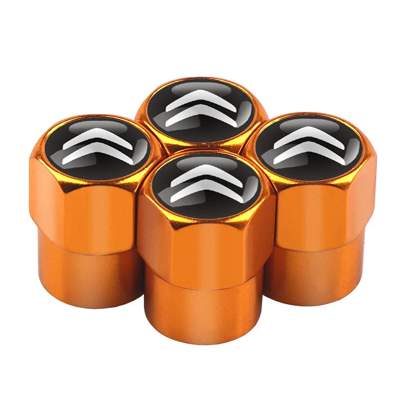 Bouchons de Valve Citroën C3 C4 C5 Aircross Métal — détail du support
