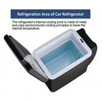 Mini Frigo Voiture 6 L 12 V 220 V Froid et Chaud