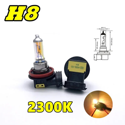Ampoules Halogènes H1 H3 H4 H7 H8 H11 (Kit 2 Pièces)