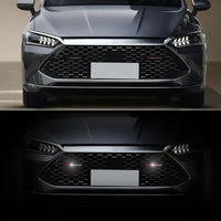 Emblème Lumineux Peugeot LED Lion pour Face Avant