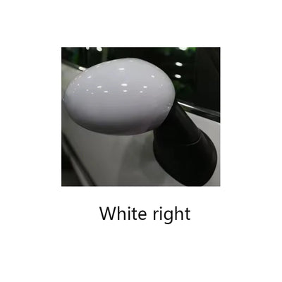 Coque de Rétroviseur Mini Cooper Noir ou Blanc F57 F60