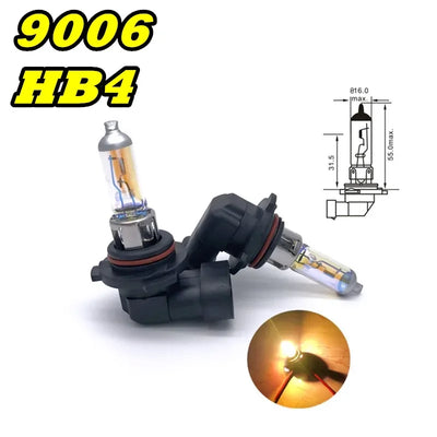 Ampoules Halogènes H1 H3 H4 H7 H8 H11 (Kit 2 Pièces)