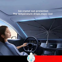 Pare-Soleil Pare-Brise Pliable Renault Captur Mégane Clio Arkana