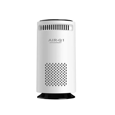 Purificateur d'Air Voiture Filtre HEPA Ions Négatifs