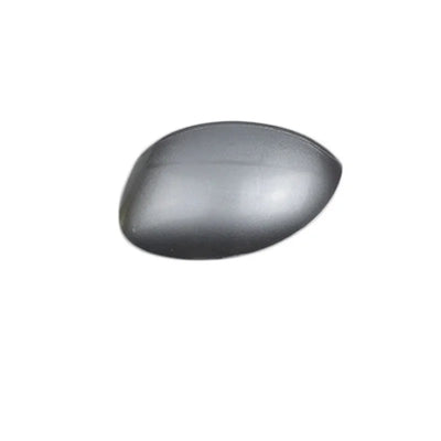Coque de Rétroviseur Peugeot 206 207 Citroën C2 2005-2011