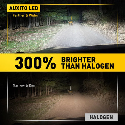 Ampoule Antibrouillard LED BMW H3 6500K Canbus
