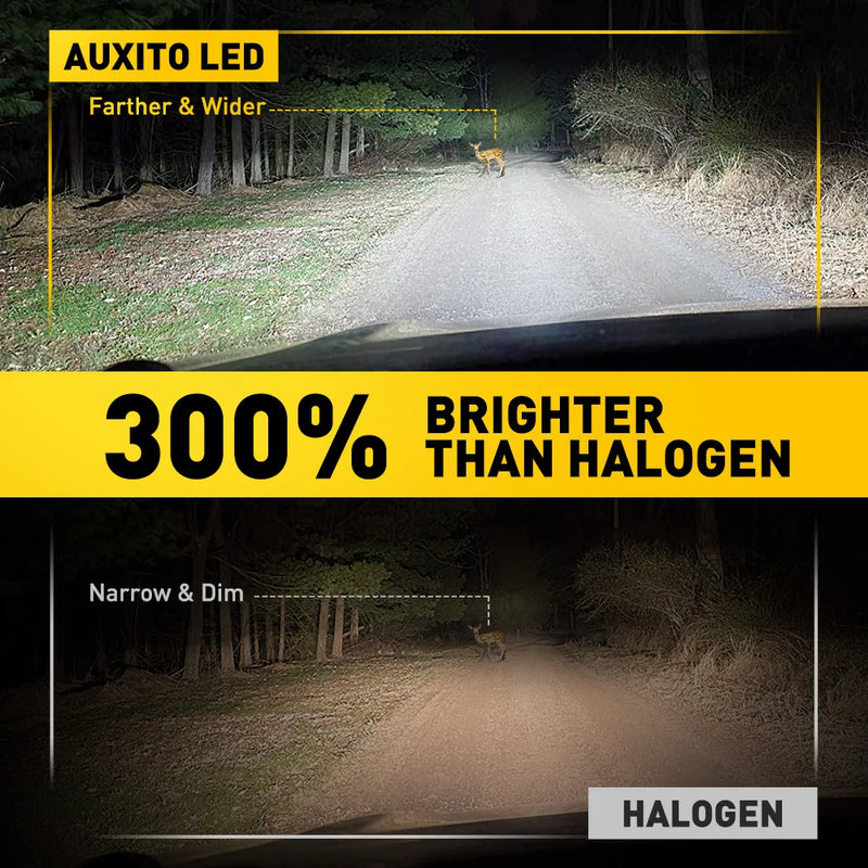 Ampoule Antibrouillard LED BMW H3 6500K Canbus
