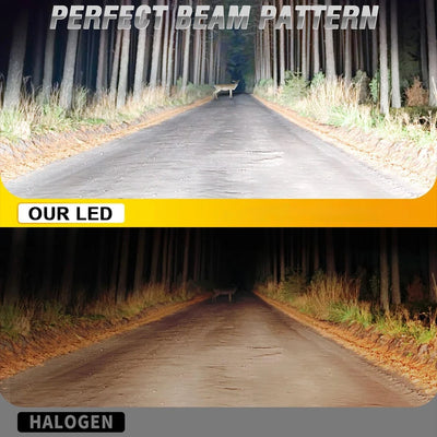 Ampoules LED BMW H1 500W 50000LM Canbus CSP Mini