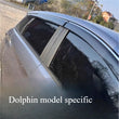 Déflecteurs de Vitres Anti-Pluie et Pare-Soleil BYD Dolphin
