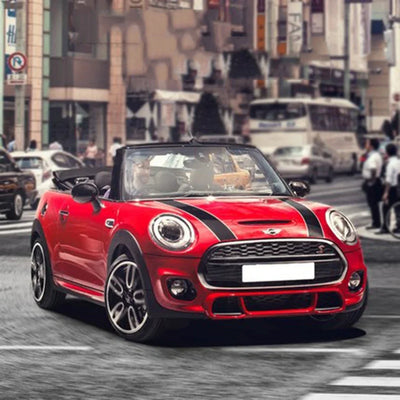 Autocollant Bandes Capot MINI Cooper S JCW R56 F56