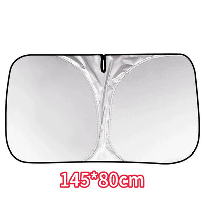 Pare-Soleil Pare-Brise Citroën C3 C4 Picasso Berlingo