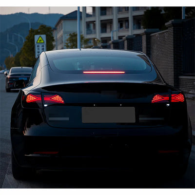Feux Arrière LED Tesla Model 3 Model Y RGB Animation 2018-2023