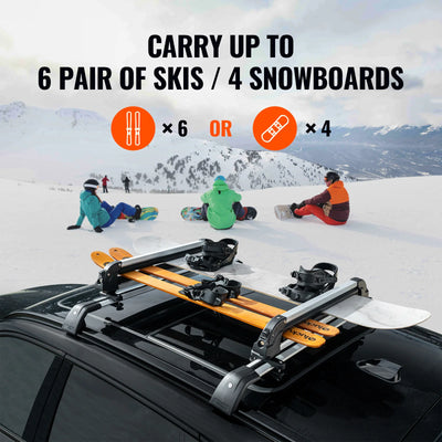 Porte-Skis de Toit VEVOR 80 cm Verrouillable