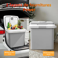 Glacière Électrique Voiture 24 L 12 V 220 V Froid et Chaud