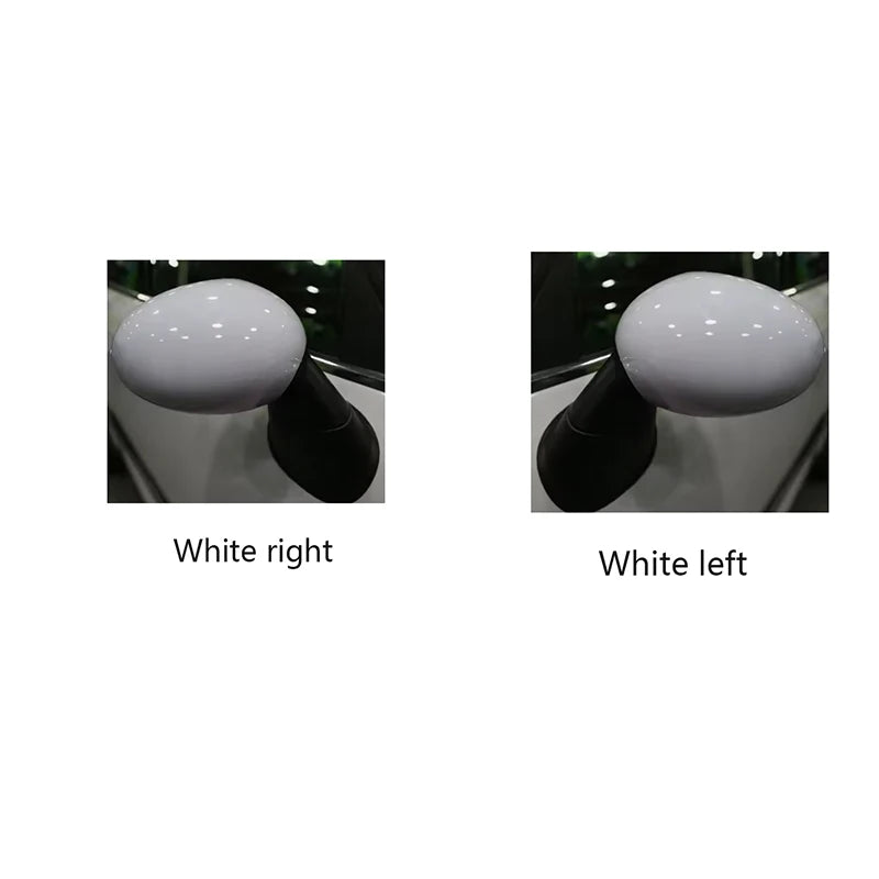 Coque de Rétroviseur Mini Cooper Noir ou Blanc F57 F60