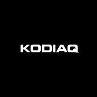 Projecteur Porte Skoda LED, Lentille Verre HD, Lot de 2 ou 4, Octavia Kodiaq Karoq Yeti VRS, 7 Motifs