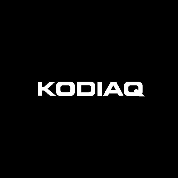 Projecteur Porte Skoda LED, Lentille Verre HD, Lot de 2 ou 4, Octavia Kodiaq Karoq Yeti VRS, 7 Motifs