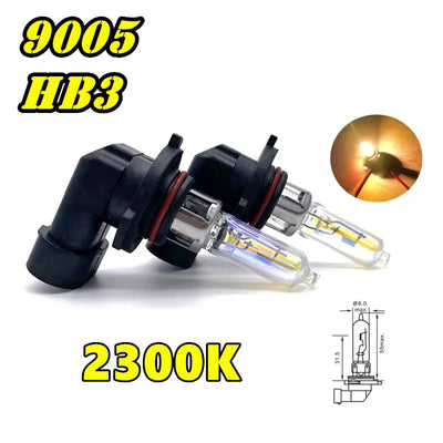 Ampoules Halogènes H1 H3 H4 H7 H8 H11 (Kit 2 Pièces)