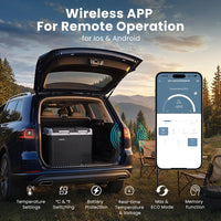 Réfrigérateur de Voiture Patbrela 20 L 40 L 45 L Compresseur 12/24 V avec Contrôle par Application