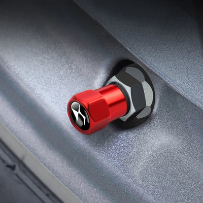 Bouchons de Valve Citroën C3 C4 C5 Aircross Métal
