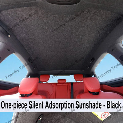 Pare-Soleil de Toit Ouvrant Électrostatique Citroën C4 Picasso MK2