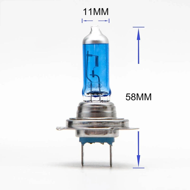 Universal H7 12V 55W Halogen Bulbs, 2-Pack - rear view - Becquet Voiture
