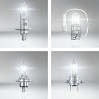 OSRAM Halogenlampen H1 H3 H4 H7 24V Lkw - Rückansicht - Becquet Voiture