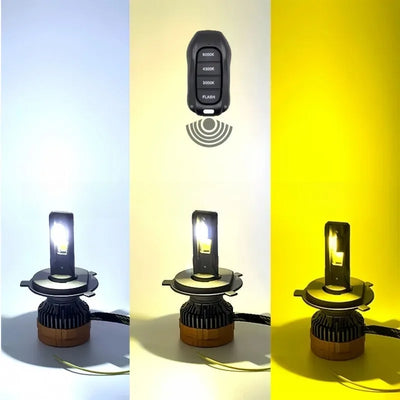 Ampoules LED Tricolores Télécommande 3000K-6500K (Kit 2 Pièces) - installé sur véhicule - Becquet Voiture