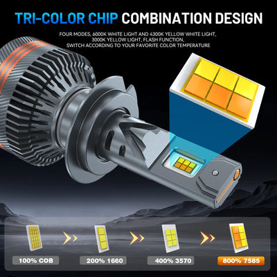 Ampoules LED Tricolores Télécommande Canbus (Kit 2 Pièces) - vue arrière - Becquet Voiture