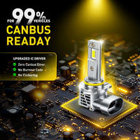LED-Scheinwerferlampen Canbus AUXITO 9005 HB3 9006 HB4 6500K - Seitenansicht - Becquet Voiture