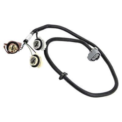 https://cdn.shopify.com/s/files/1/0712/0348/8028/files/baa90ab90274158263f6344ae9583791.jpg?v=1769584328