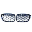 Calandre Diamond BMW X1 F48 F49 2016-2019