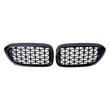 Calandre Hoffmann Diamond BMW Série 5 G30 G31