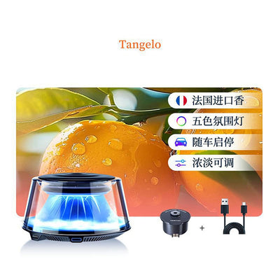 Diffuseur Parfum Voiture + Recharges Parfumées - packshot studio 2 - Becquet Voiture